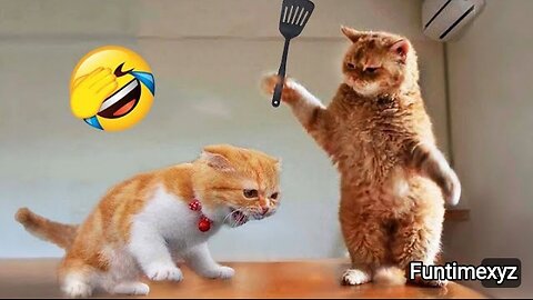 Funniest Animals 2023😂 Videos New Funny Cats and Dogs Video 🐶🐱 Part 1