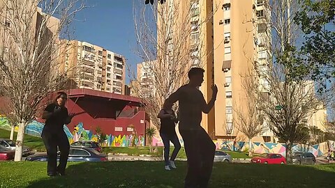 Tai chi forma 24 movimientos estilo yang