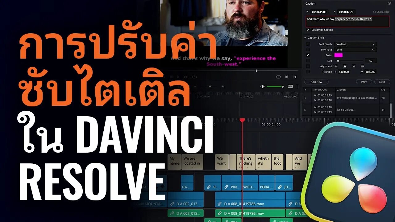 ปรับค่าซับไตเติล ใน DaVinci Resolve