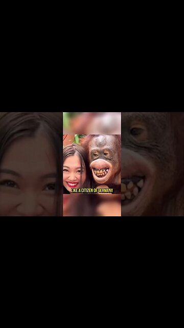 Absolute Scumbag Move by PETA