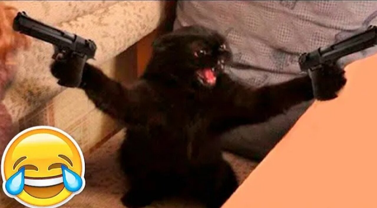 New funny Animals 😂 funniest Cats and dogs videos 😺 🐕