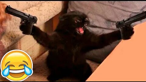 New funny Animals 😂 funniest Cats and dogs videos 😺 🐕