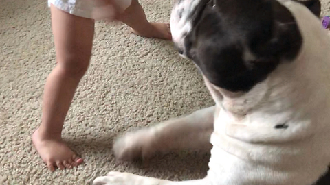 Bully Crawls and Begs Toddler to Let Him Play Too