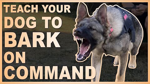 How to train your Dog to speak(Barking) | Training of Speak Command for Dogs