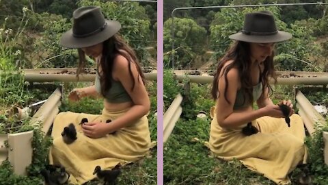 Julia In The Garden With The Little Cayuga Ducklings 💛 She Is Teaching Them Forage and Eat bugs