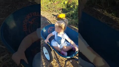 Welcome to the Farm