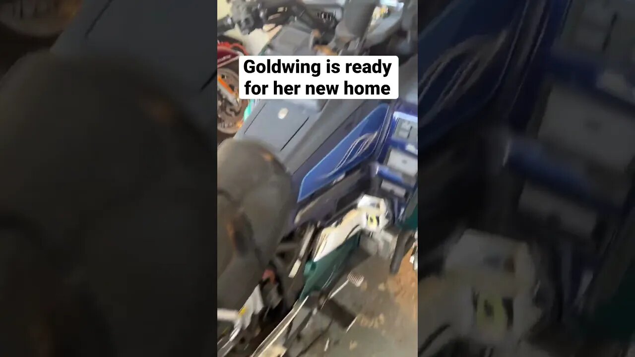 This goldwing has to go! #goldwing #motorcycle