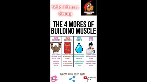 🔥The four mores of building muscle 🔥#shorts🔥#viralshorts🔥#fitnessshorts🔥#wildfitnessgroup🔥