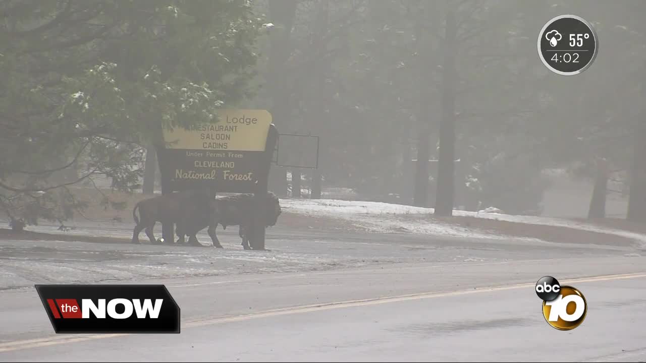 Mount Laguna expecting more snow