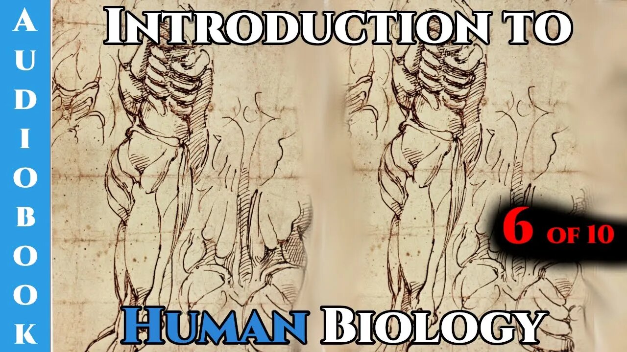 Introduction to human biology Pt.6 of 10 | Humans are Space Orcs | HFY |