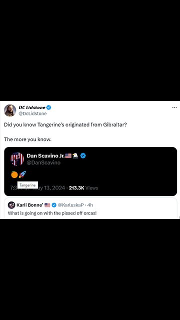 @KarluskaP What is going on with the pissed off orcas! 𝘿𝘾 𝙇𝙞𝙙𝙨𝙩𝙤𝙣𝙚 Did you know...