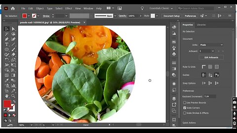 Graphic Designing (UI/UX Designer) Task # 28