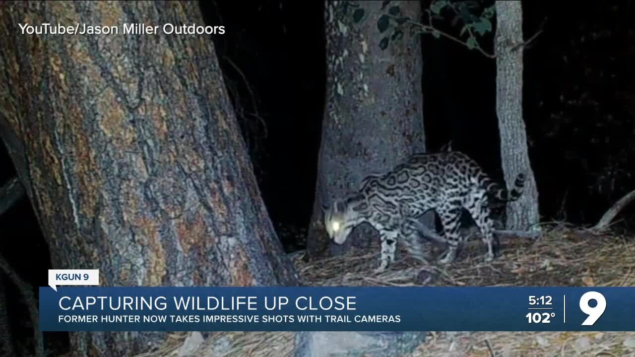 The man behind Southern Arizona's impressive trail camera footage