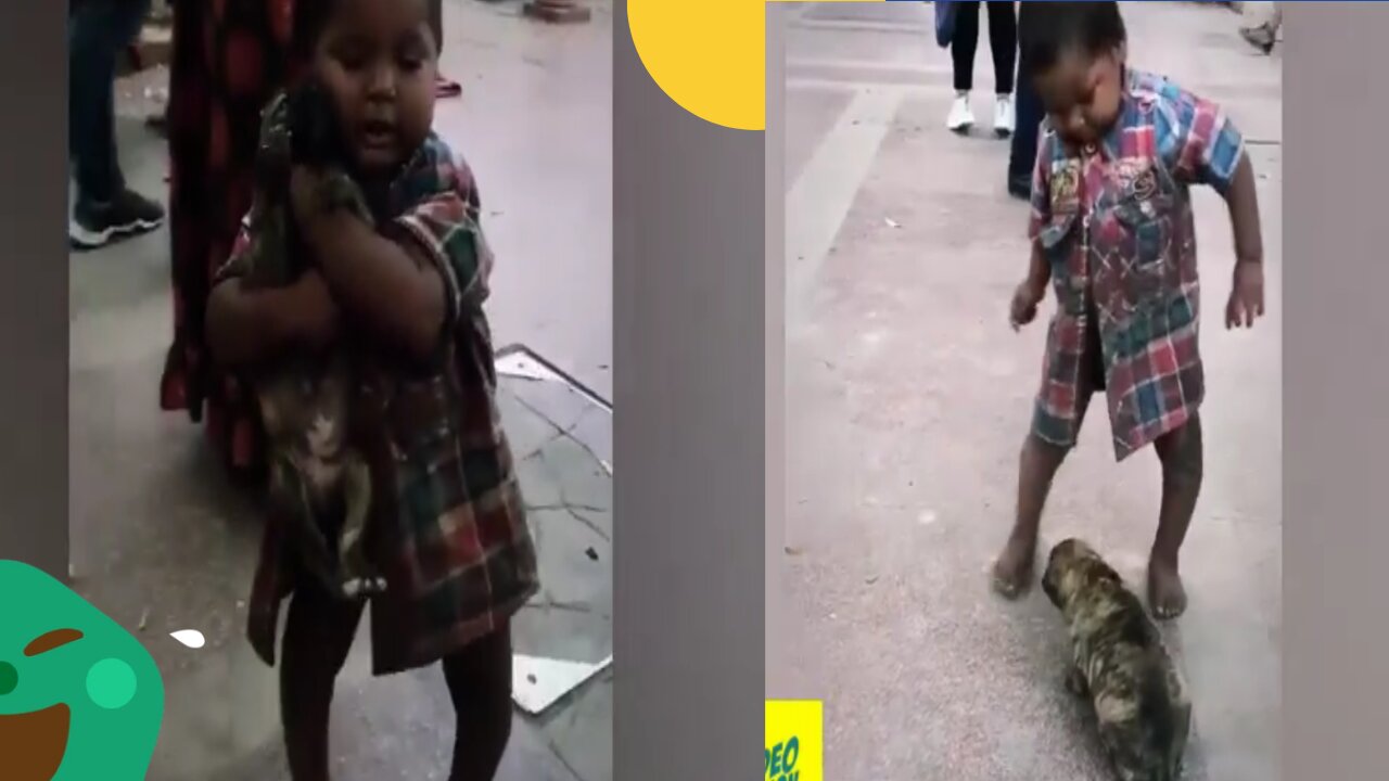 Crying pupy on the street is hepled by littel boy.