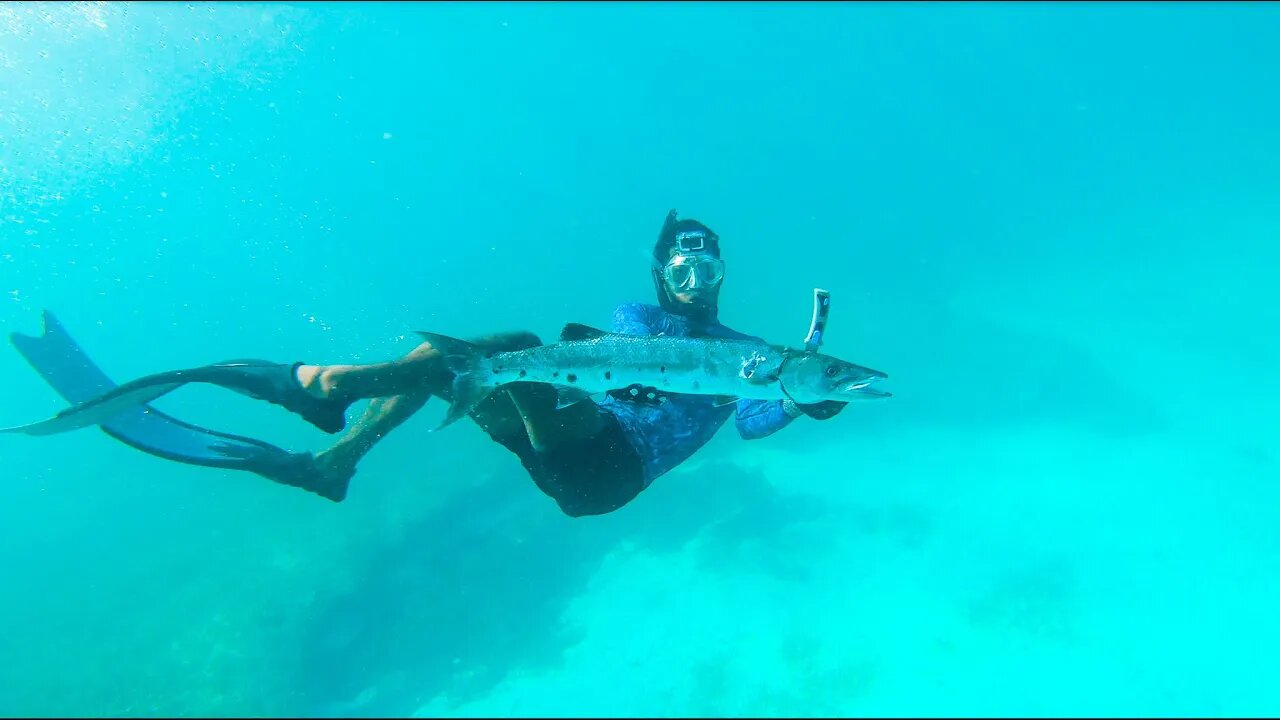 MUTTON SNAPPER AND GIANT SEA TURTLES SPEARFISHING FROM MY JETSKI |AMAZING CONDITIONS |CATCH AND COOK