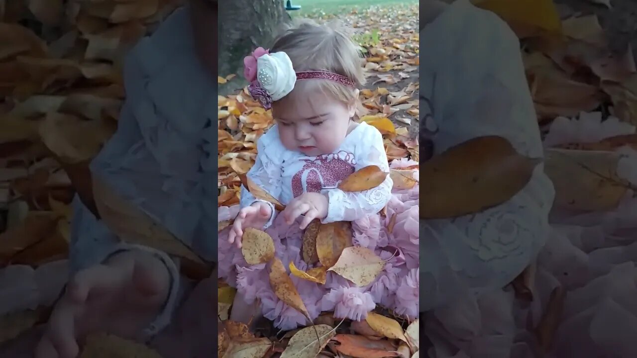 Lacie's 1st Leaves