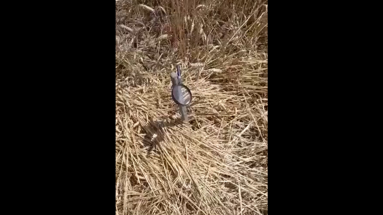 A Piece Of Climate Change Found In A Farmers Field