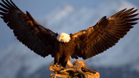 Prophecy for 2017 from Lana Vawser, Part 3: "REACH FOR THE SKY!!!!!"