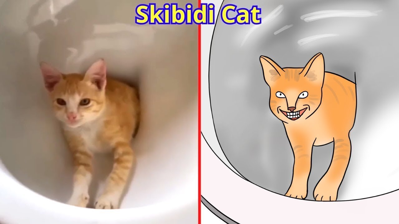 You Laugh You Lose 🤩 Funniest Cats and Dogs 😸🐶
