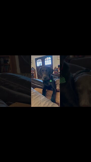 ￼ Please may I have some