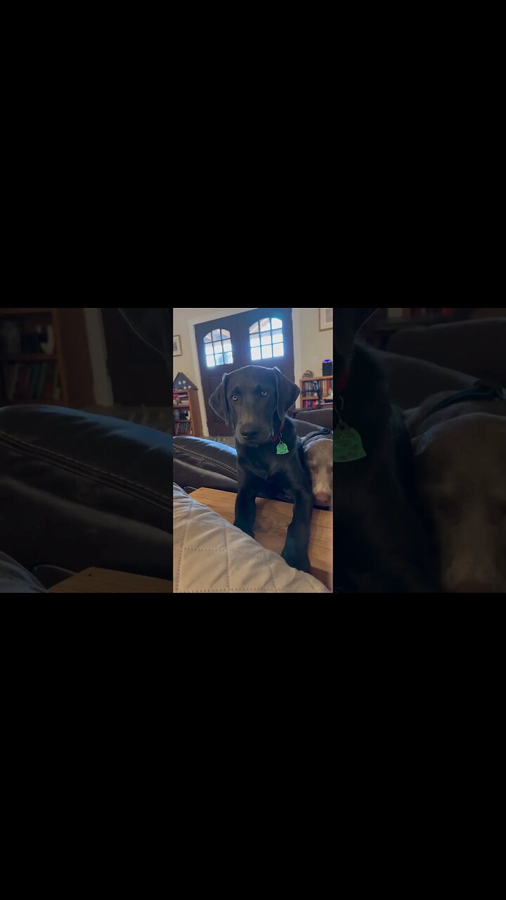 ￼ Please may I have some