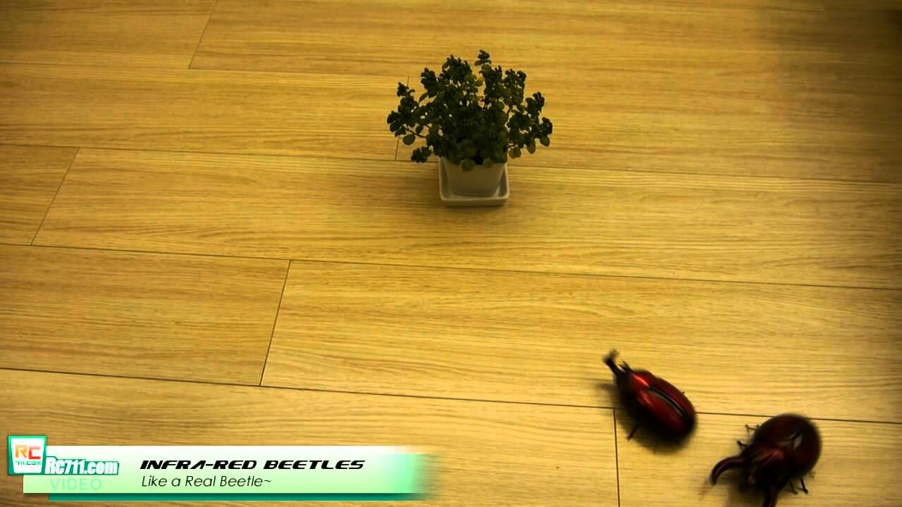 RC711.com - Infra-red controlled Bettles