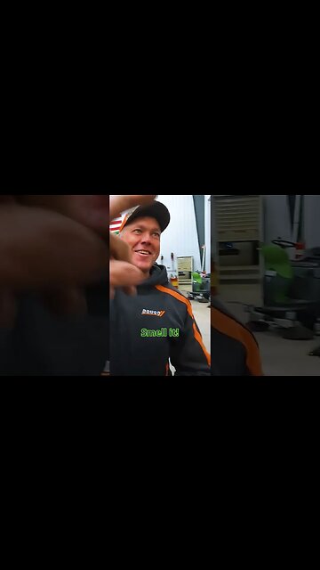 Dogs Don’t Have Respect For The Work Place!