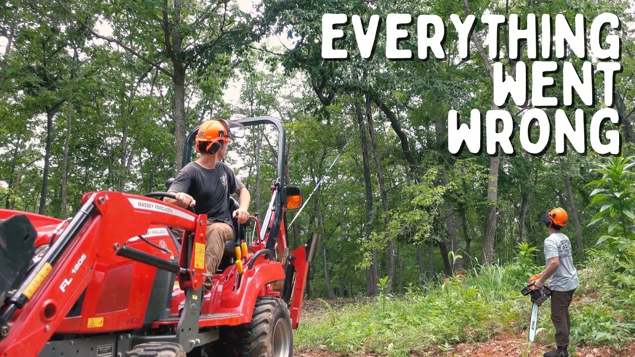 How not to cut a tree down with the Semi Professional Amateur - Free Dance lessons included!