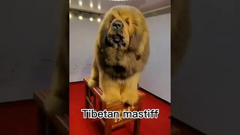 What a beauty! #trending #viral