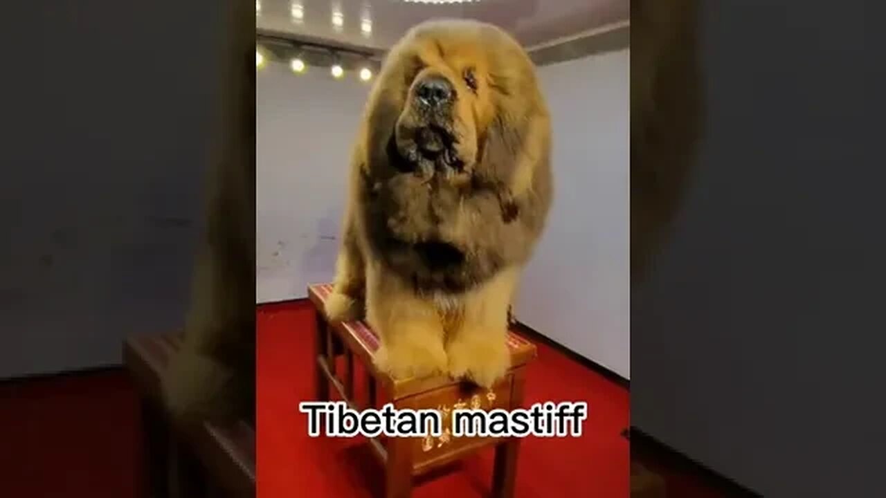 What a beauty! #trending #viral