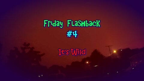 Friday Flashback #4