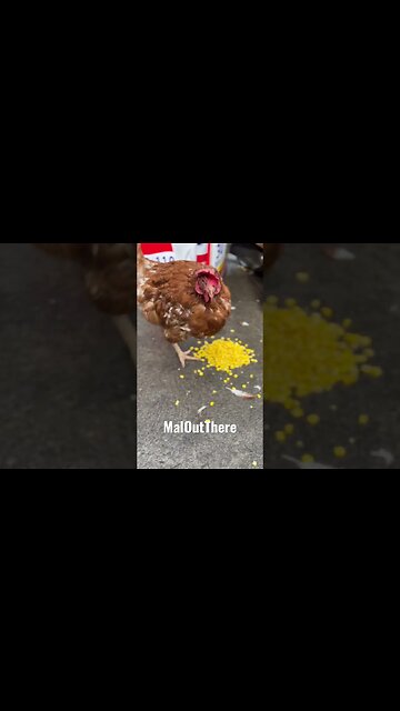 Welcome To Kensington