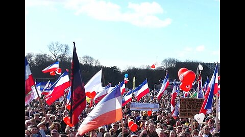 New Right Takeover of The Netherlands (WSWS/2)