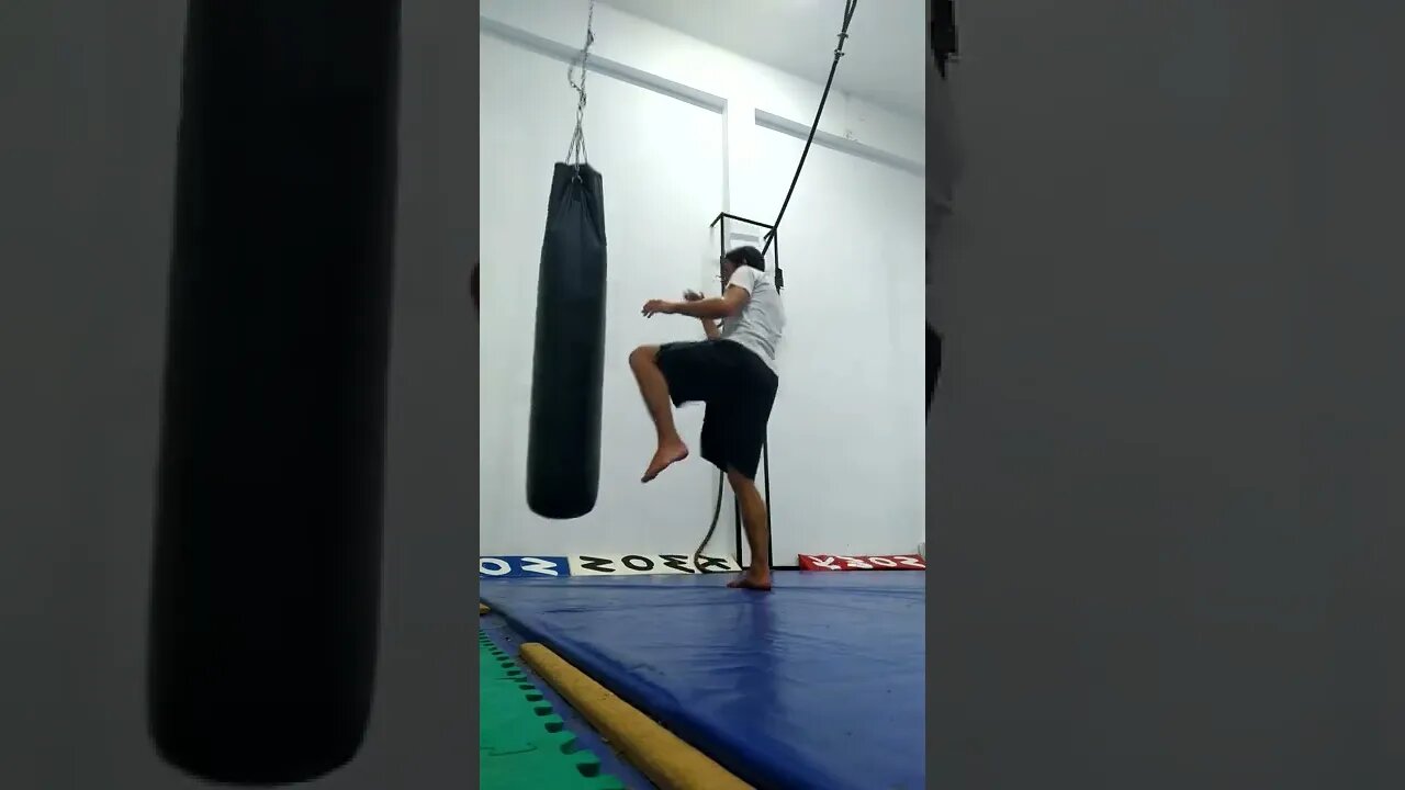 Kick, Punch, Elbow And Knee The Bag (25)