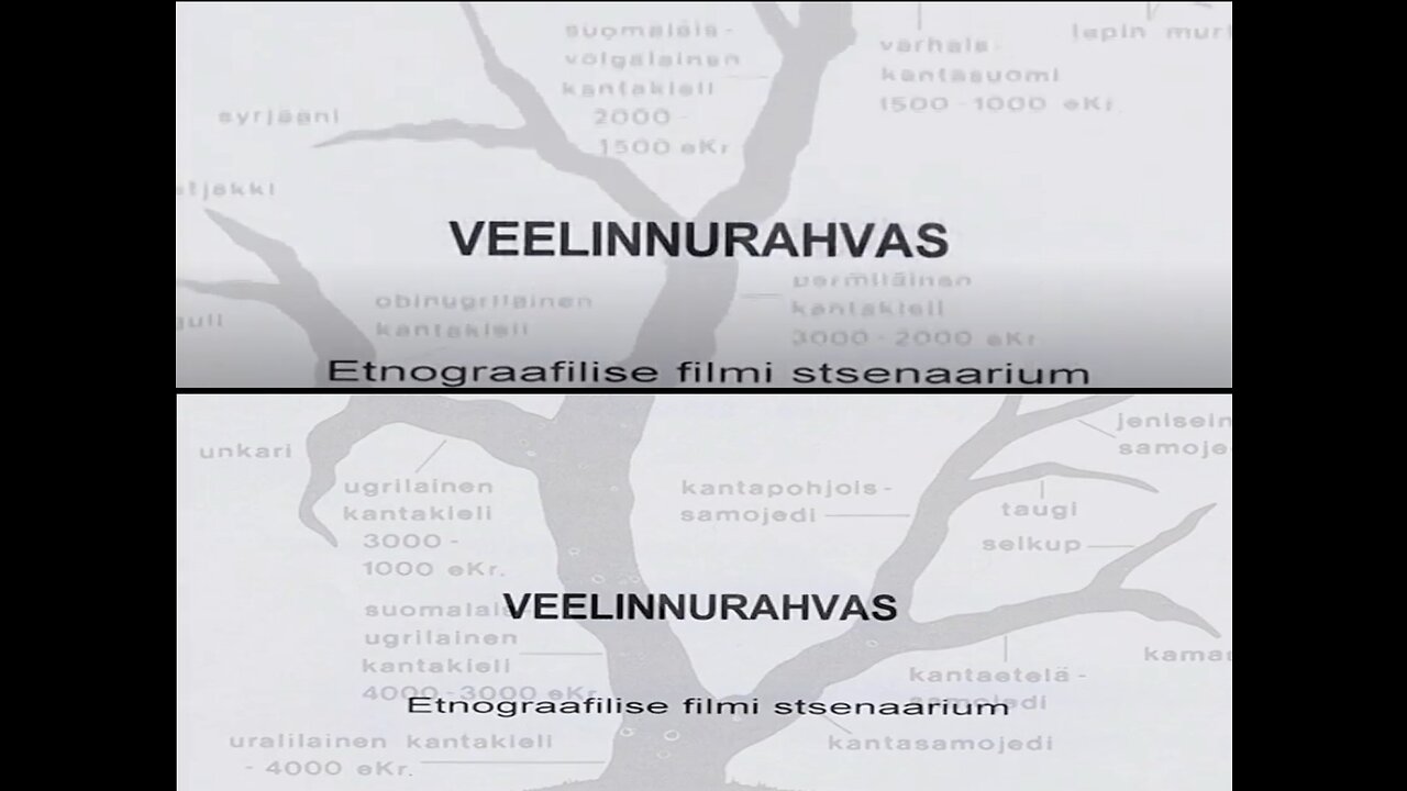 Tantsud Linnuteele. Pildistusi Lennart Meri filmirännakutelt 2010