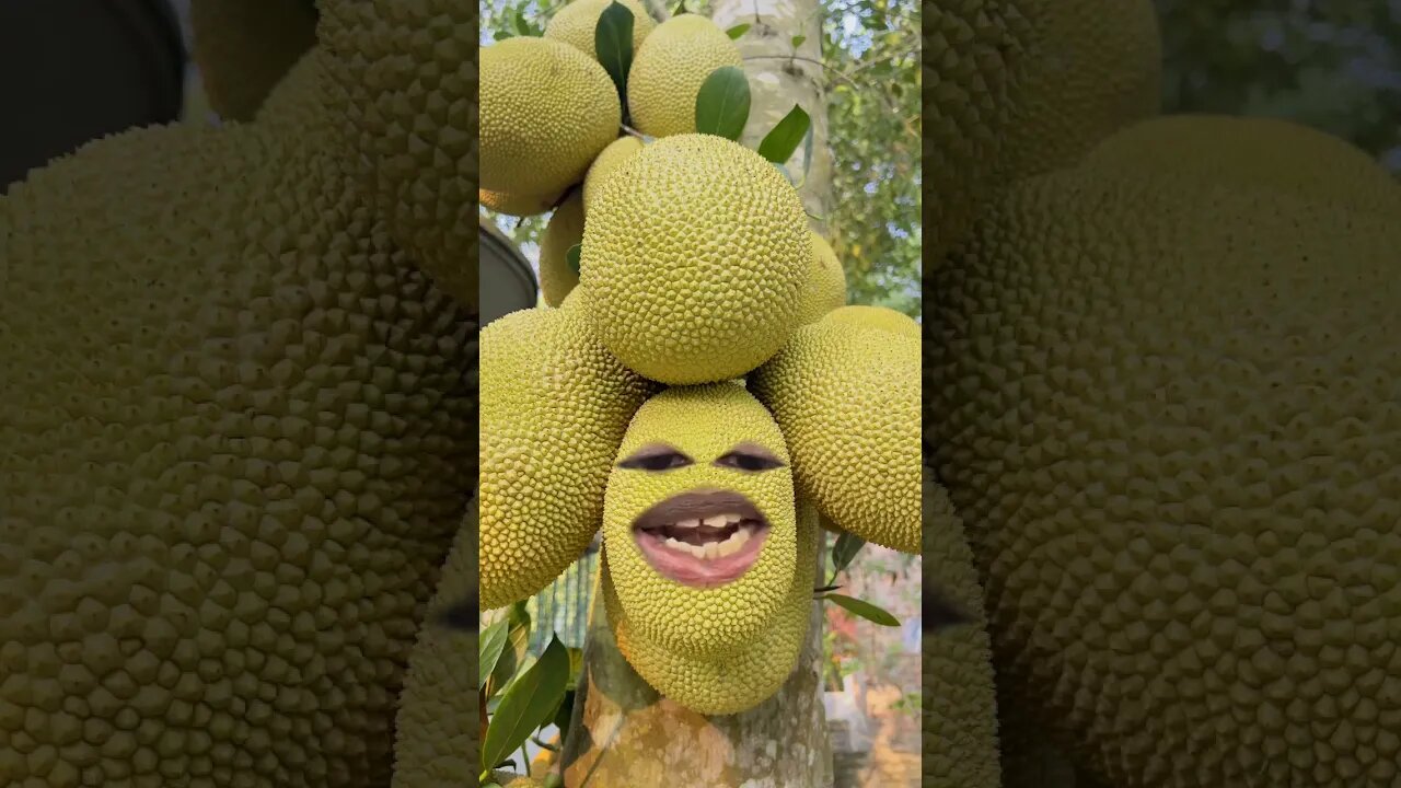 জাতীয় ফল কাঁঠাল এর কঠিন প্রতিবাদ 😂😂😂 শামীম ভাই