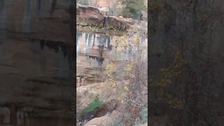 Zion National Park | Lower Emerald Pool Trail