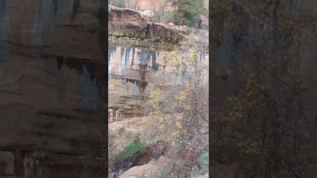 Zion National Park | Lower Emerald Pool Trail