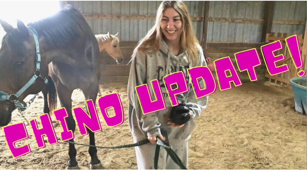 Building Their Dream Horse Farm And A Chino Update!