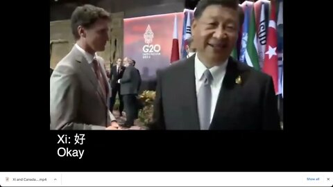 [聲音優化版本] 習近平和特魯多的對話視頻