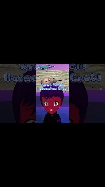 👑[Krab Fact: Horseshoe crabs]🦀