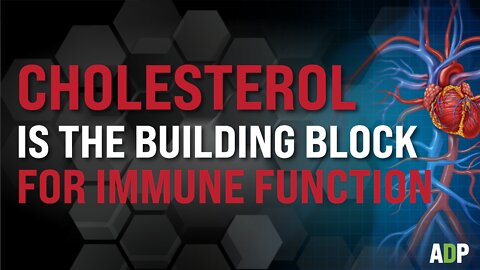 Cholesterol is The Building Block For Immune Function