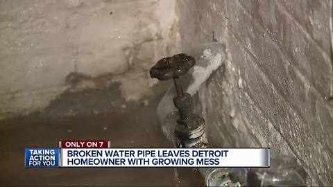 Detroit woman contacts 7 Action News when she can't get busted pipe fixed