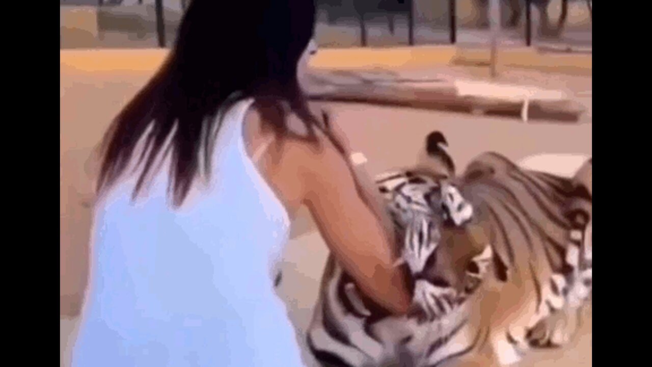 Is the risk worth the thrill?