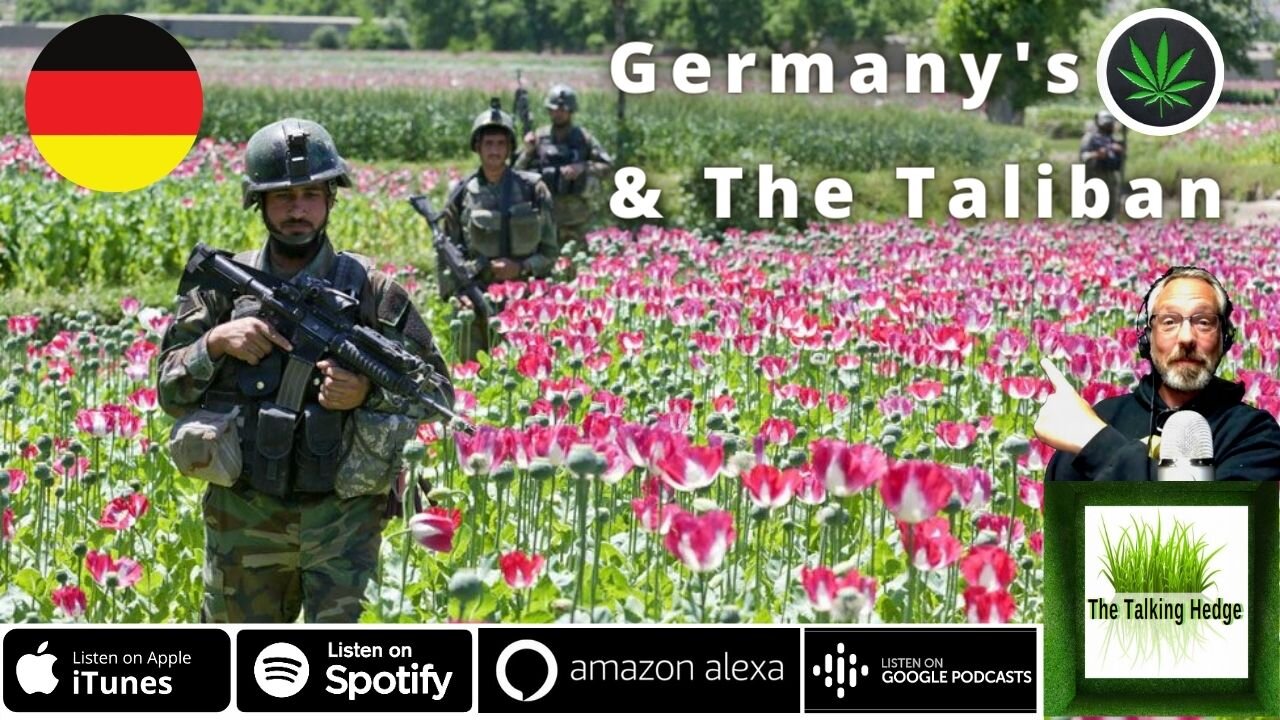 Taliban Collaborates with German Cannabis Company