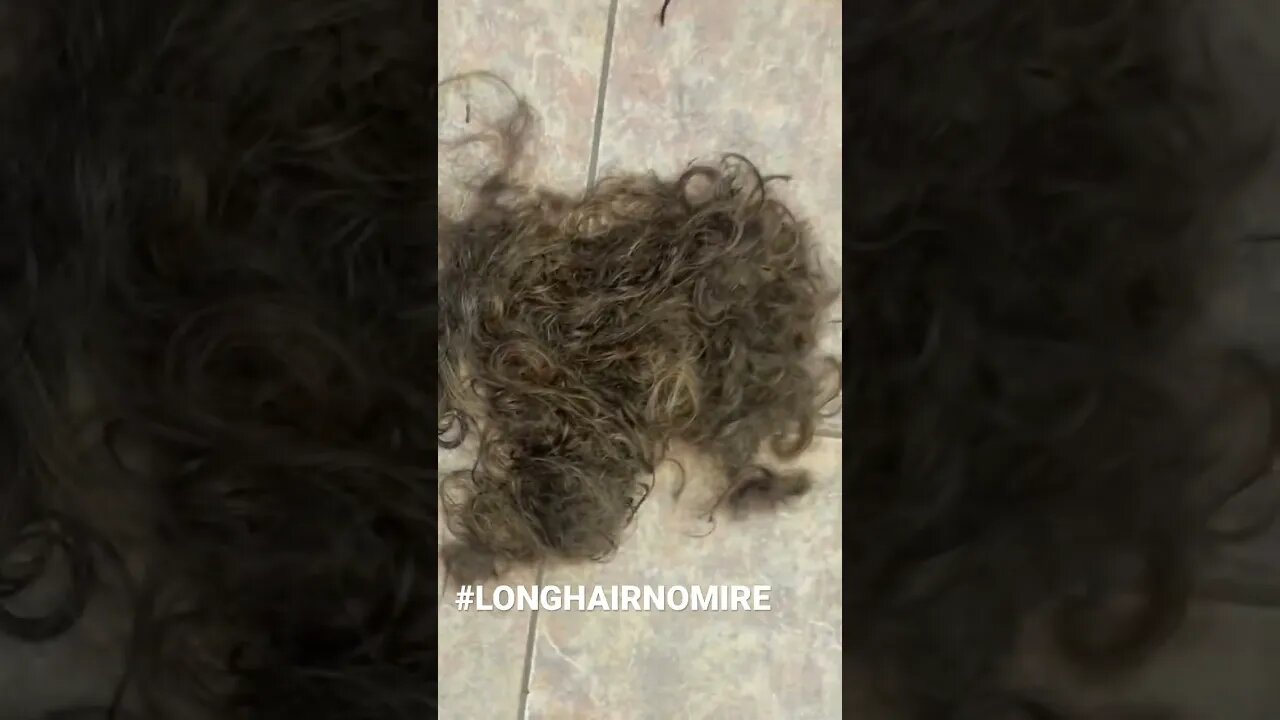 Long hair no more. The aftermath of a serious #haircut