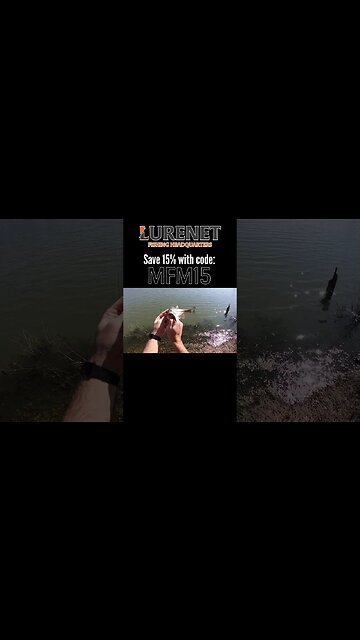 YUM hellgrammites are the BEST ned rig!