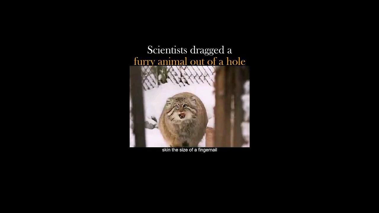 A scientist dragged out a furry animal out of a hole