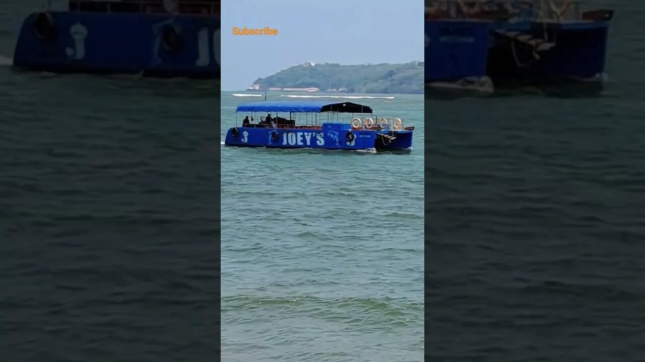 Dolphin 🐬 #boat #goa #goatrip #youtubeshorts #travel #viral #shorts #shortsvideo #northgoa #nature