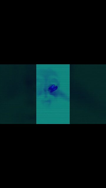 OOZE REVIEWS | Gun by Ingrown #albumreview #hxc #kino #review #420 #comedy #commentary #album #hard